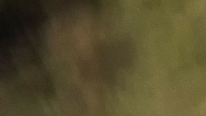 Agricultores latinos en EE.UU.