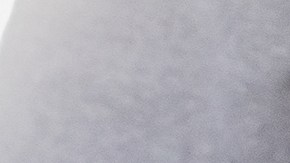 Cheque de estímulo de la gasolina