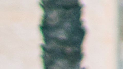 Niño latino en EEUU