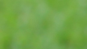 riqueza transgeneracional