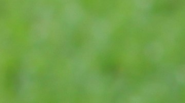 riqueza transgeneracional