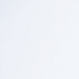 Foto de unos anteojos sobre un formulario de aplicación del Seguro Social