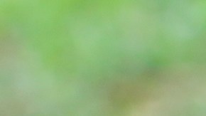 Familia latina en EEUU