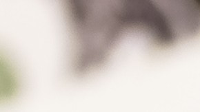 Transferencia Internacional