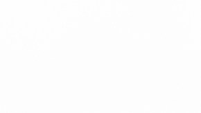 Foto de las manos de una mujer haciendo cálculos