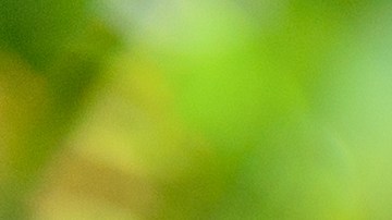 hipoteca interes unico