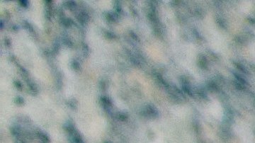 trabajo en el retiro