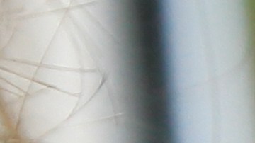 teléfono con Whatsapp