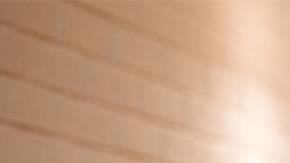 chase elder abuse month