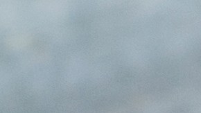 día nacional de la dona