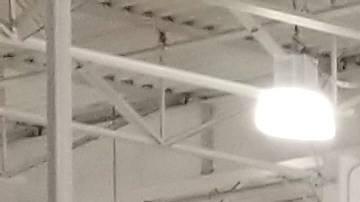 indice de gasto personal