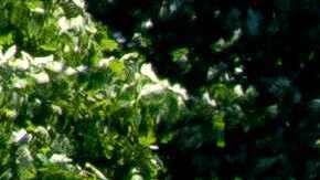 inventario y precio de las casas