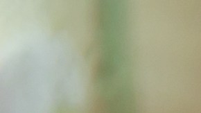 seguro de auto cancelado