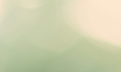 impuestos del empleador en EE.UU.