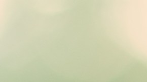 impuestos del empleador en EE.UU.