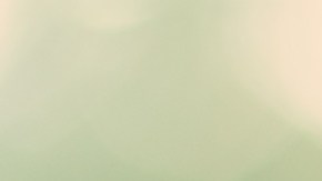 impuestos del empleador en EE.UU.