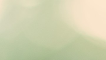 impuestos del empleador en EE.UU.