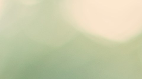 impuestos del empleador en EE.UU.