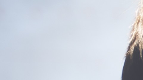 agencia calificadora de seguros
