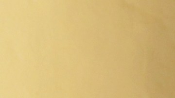 Empleado latino en EEUU