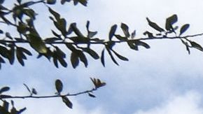 Salario mínimo Fight for $15