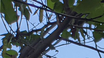 tormenta perfecta en el mercado de casas familiares