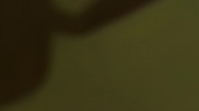 seguro de auto niega cobertura