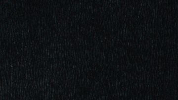 salario minimo en eeuu