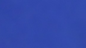 Impuestos formularios