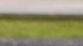 200 familias resultarán beneficiadas con el BYFSF