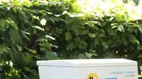 El gobierno impulsa al sector de vehículos eléctricos