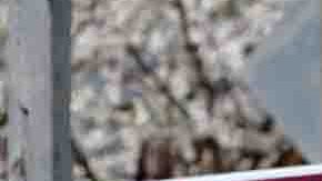 Descienden las ventas de vivienda