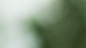 fallecimiento por trabajo