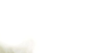 seguro de auto en EE.UU. accidentes