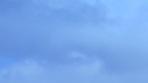NY