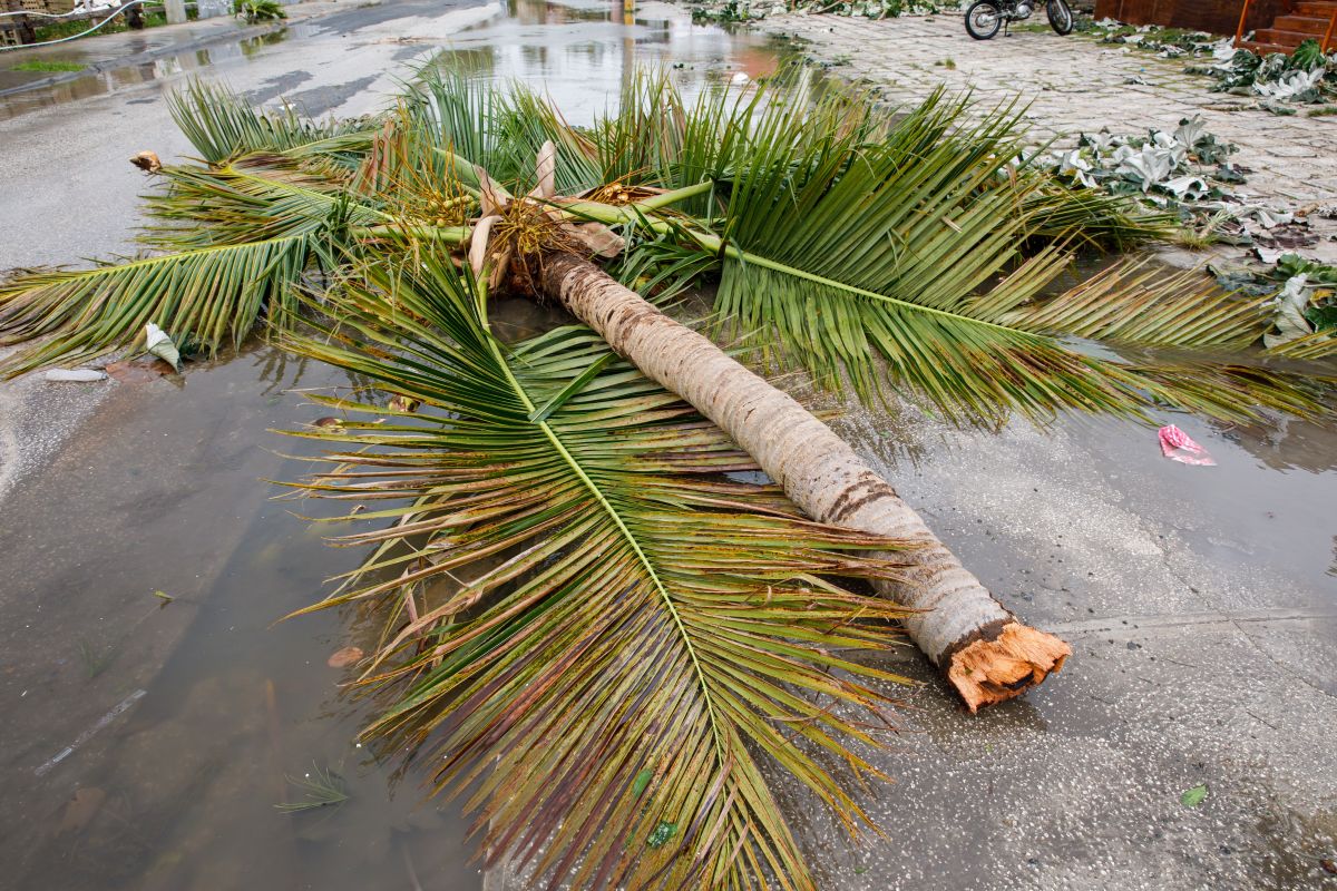 Puedes solicitar asistencia económica a tu administrador hipotecario si tu casa fue afectada por el huracán Fiona en Puerto Rico
