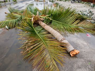 huracán fiona ayuda económica