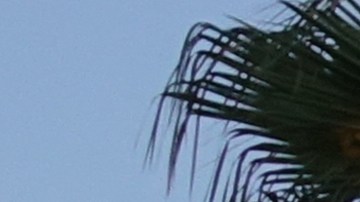 bed bath and beyond estafa pump and dump