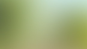 Hay ciudades en EE.UU., como Jacksonville, en las que se han registrado bajas de precio de las viviendas desde el mes de junio.