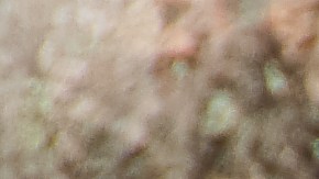 Empleado de la construcción