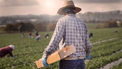 latinos en la economia de estados unidos
