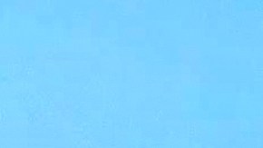 salario mínimo florida