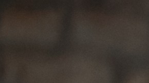 salario de trabajadores felices