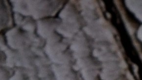 hipotecas de interes variable arm