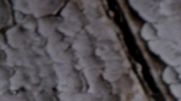 hipotecas de interes variable arm