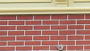 jardines de disneyland