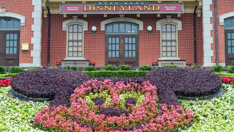 jardines de disneyland