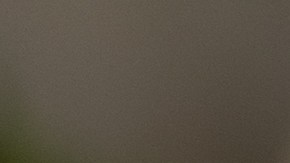 bonos jubilación ee.uu.