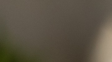 bonos jubilación ee.uu.