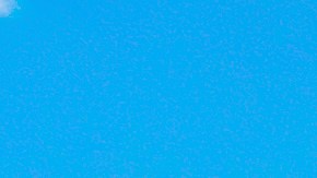 salario mínimo south carolina